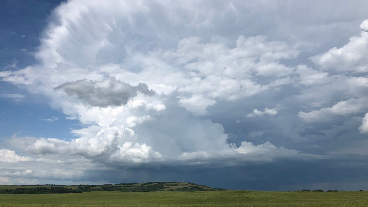 We have provided Crop Hail Insurance to farmers in both Alberta and Saskatchewan since 2014! Offering policies from AMHL (Saskatchewan Municipal, Palliser Insurance, Rain 